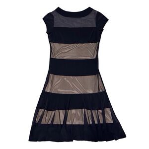 Vintage Sheer Navy and Nude Striped Dress